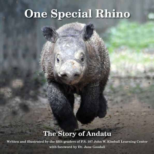 One Special Rhino: The Story Of Andatu