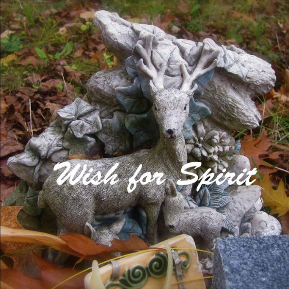 Wish For Spirit: Visual Poem