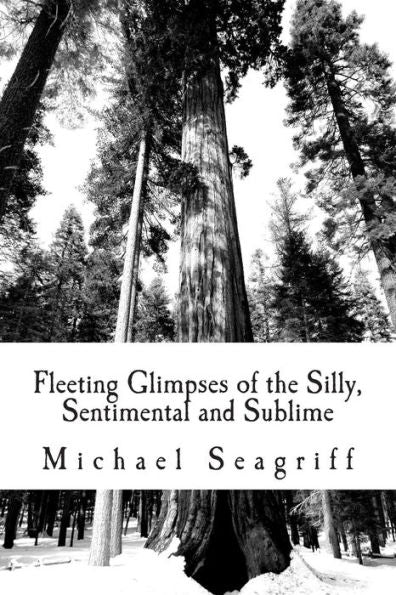 Fleeting Glimpses Of The Silly, Sentimental And Sublime