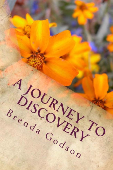 A Journey To Discovery: Recapturing Your Childhood Wonder