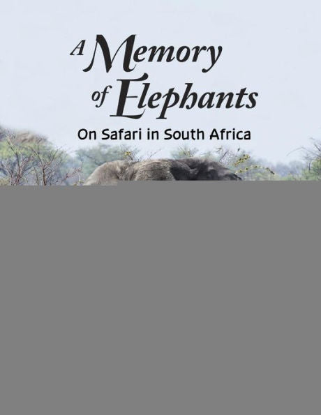 A Memory Of Elephants: On Safari In South Africa