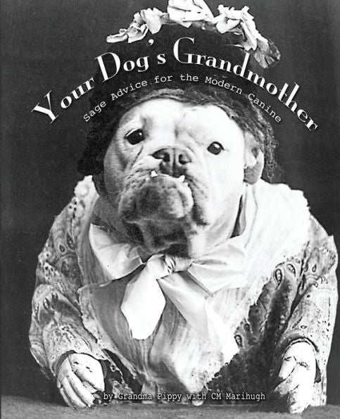 Your Dog'S Grandmother: Sage Advice For The Modern Canine