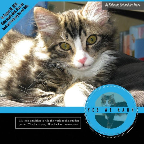 Yes We Kahn: A Photo Book Written By Kahn The Cat To Help Pay For His (And Others) Emergency Veterinary Bills.