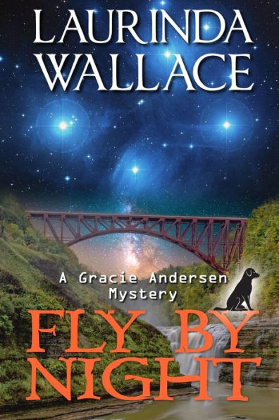 Fly By Night (A Gracie Andersen Mystery)