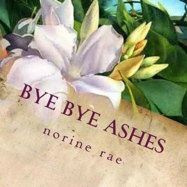 Bye Bye Ashes: Finding True Love. A Cinderella Story... (Treasures Unending)