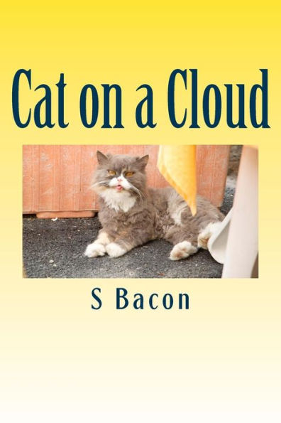 Cat On A Cloud