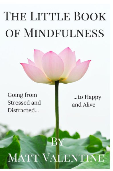 The Little Book Of Mindfulness