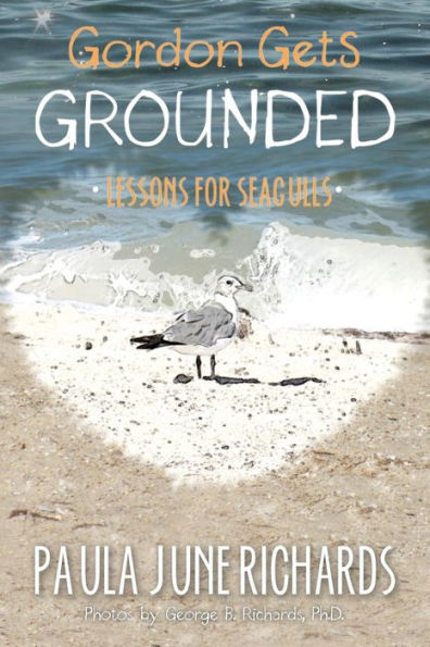 Gordon Gets Grounded: Lessons For Seagulls