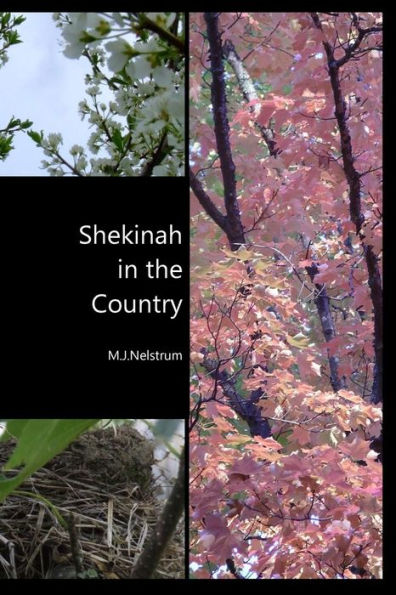 Shekinah In The Country