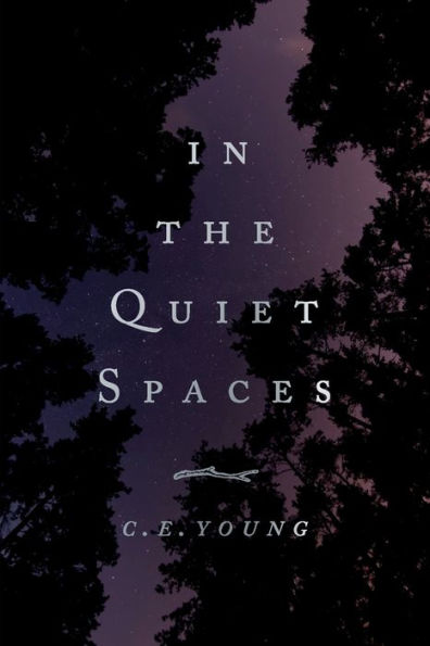 In The Quiet Spaces