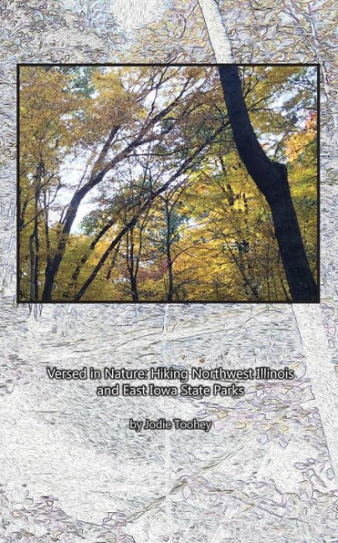 Versed In Nature: Hiking Northwest Illinois And East Iowa State Parks
