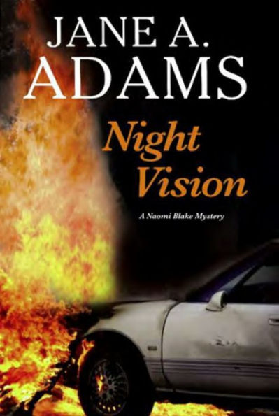 Night Vision (Naomi Blake)