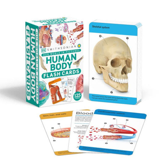 Our World In Pictures Human Body Flash Cards (Dk Our World In Pictures)