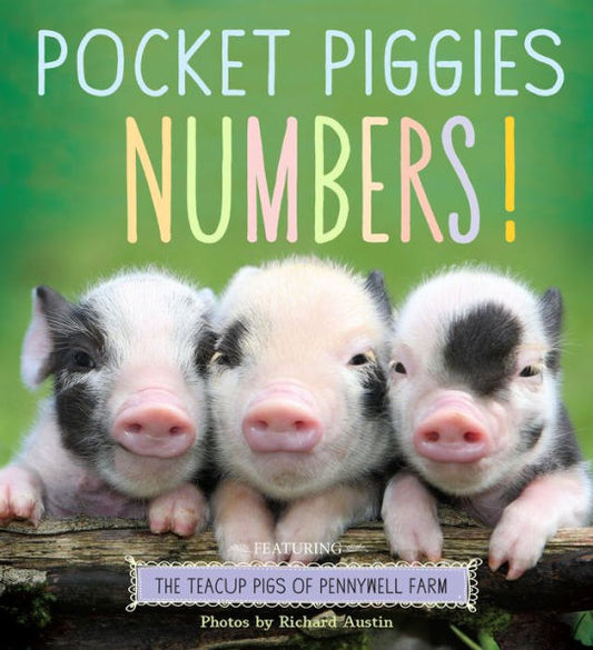 Pocket Piggies Numbers!: Featuring The Teacup Pigs Of Pennywell Farm