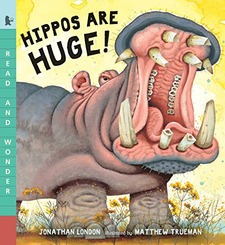 Hippos Are Huge! (Read And Wonder) - Paperback