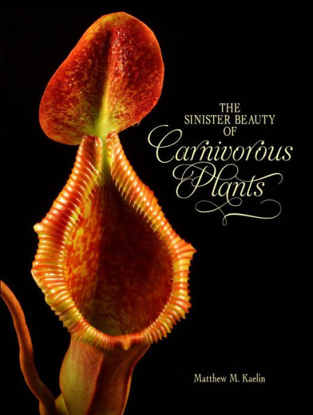 The Sinister Beauty Of Carnivorous Plants