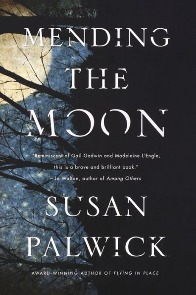 Mending The Moon