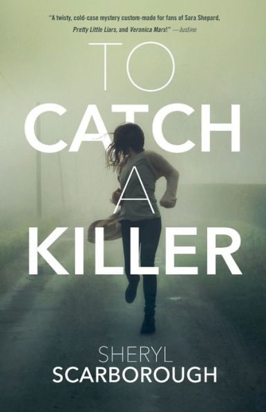 To Catch A Killer: A Novel (Erin Blake, 1)