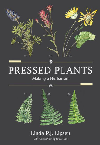 Pressed Plants: Making A Herbarium
