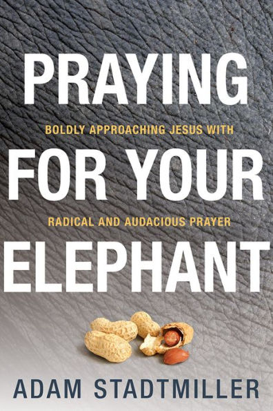 Praying For Your Elephant: Boldly Approaching Jesus With Radical And Audacious Prayer