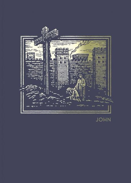 Net Abide Bible Journal - John, Paperback, Comfort Print: Holy Bible