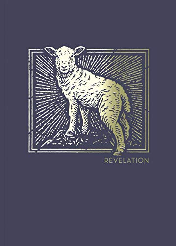 NET Abide Bible Journal - Revelation, Paperback, Comfort Print: Holy Bible