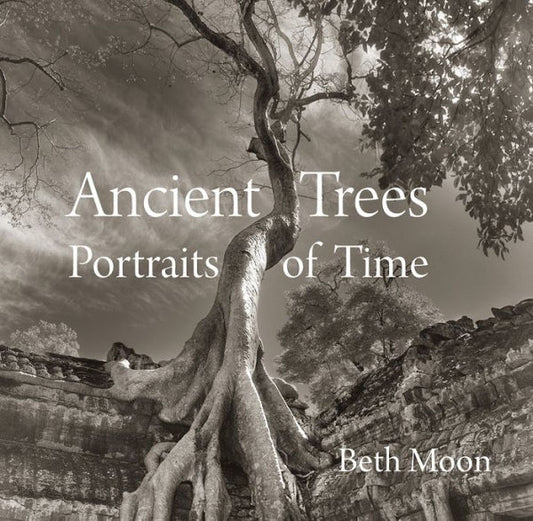 Ancient Trees: Portraits Of Time