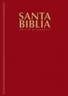Santa Santa Biblia de Promesas Reina Valera 1960 - R??stica- Color Vino (Spanish Edition)