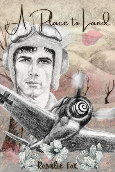 A Place To Land (Birds Of War)