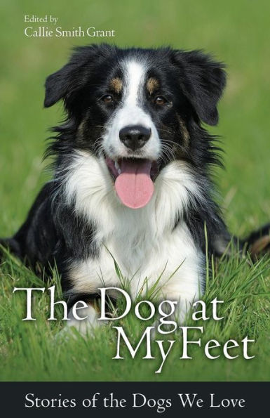 The Dog At My Feet: Stories Of The Dogs We Love