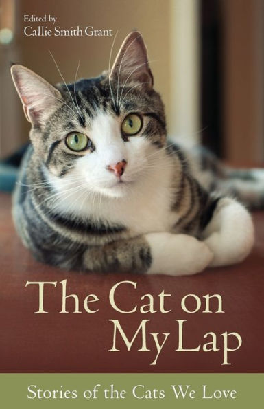 The Cat On My Lap: Stories Of The Cats We Love
