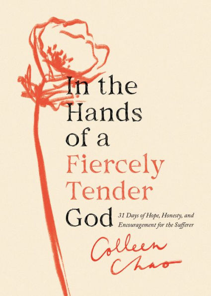In The Hands Of A Fiercely Tender God: 31 Days Of Hope, Honesty, And Encouragement For The Sufferer