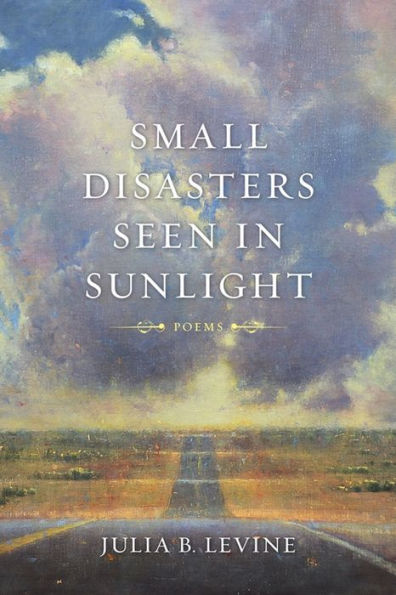 Small Disasters Seen In Sunlight: Poems (Barataria Poetry)