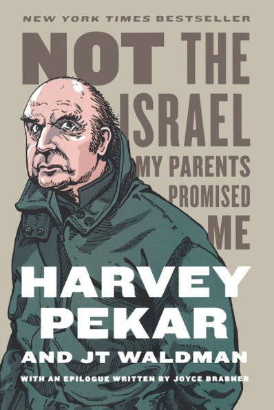 Not The Israel My Parents Promised Me