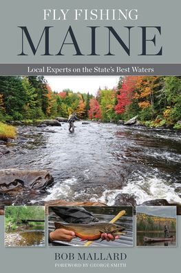 Fly Fishing Maine: Local Experts On The State'S Best Waters