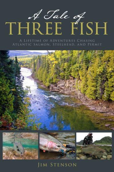 A Tale Of Three Fish