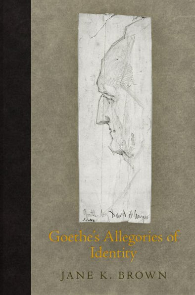 Goethe'S Allegories Of Identity (Haney Foundation Series)