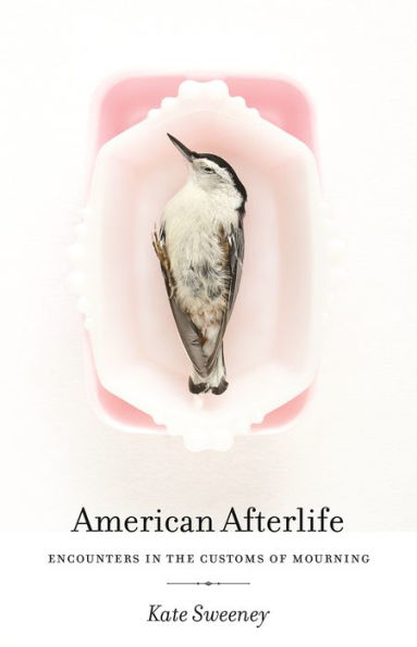 American Afterlife: Encounters In The Customs Of Mourning