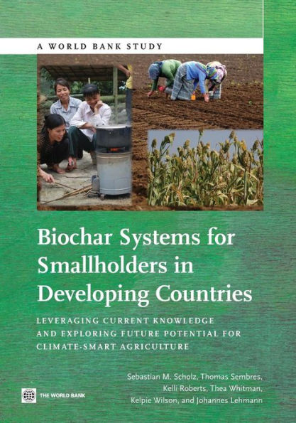 Biochar Systems For Smallholders In Developing Countries: Leveraging Current Knowledge And Exploring Future Potential For Climate-Smart Agriculture (World Bank Studies)