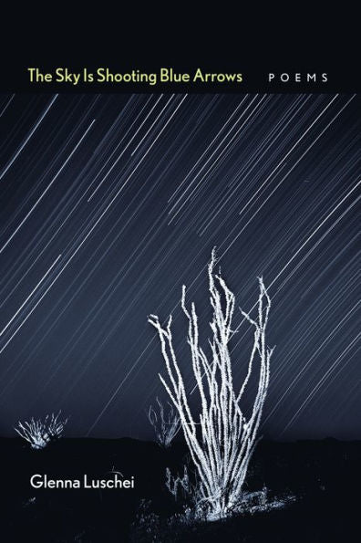 The Sky Is Shooting Blue Arrows: Poems (Mary Burritt Christiansen Poetry Series)