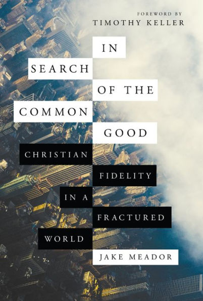 In Search Of The Common Good: Christian Fidelity In A Fractured World