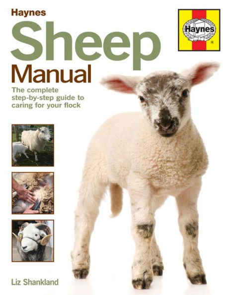 Sheep Manual: The Complete Step-By-Step Guide To Caring For Your Flock (Haynes Manuals)