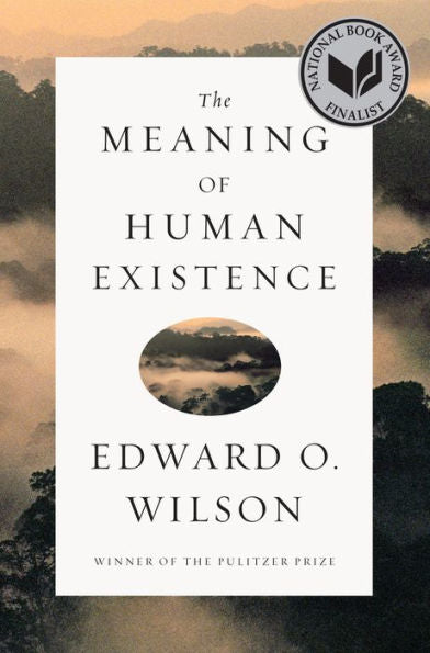 The Meaning Of Human Existence
