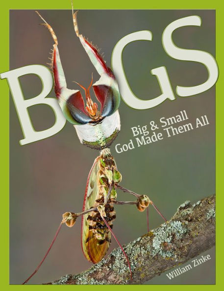 Bugs Big & Small God Made Them All