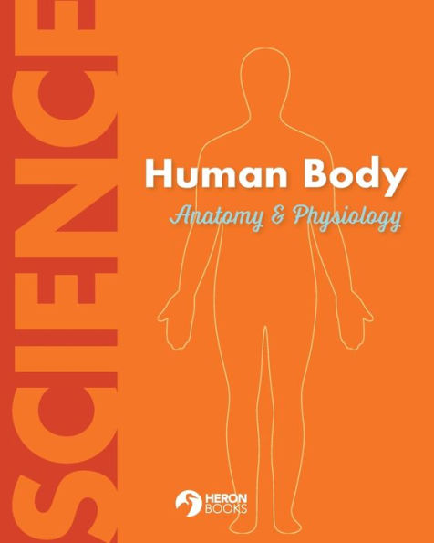 Human Body Anatomy And Physiology