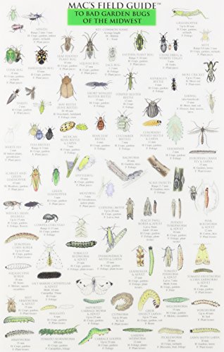 Mac's Field Guides: Midwest Garden Bugs (Mac's Guides (Flash Cards))