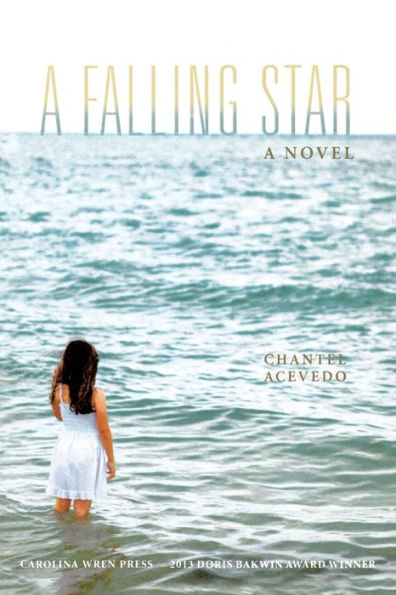 A Falling Star: A Novel (Bakwin Award)