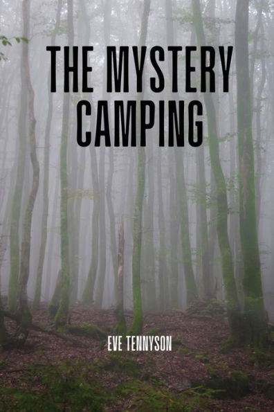 The Mystery Camping
