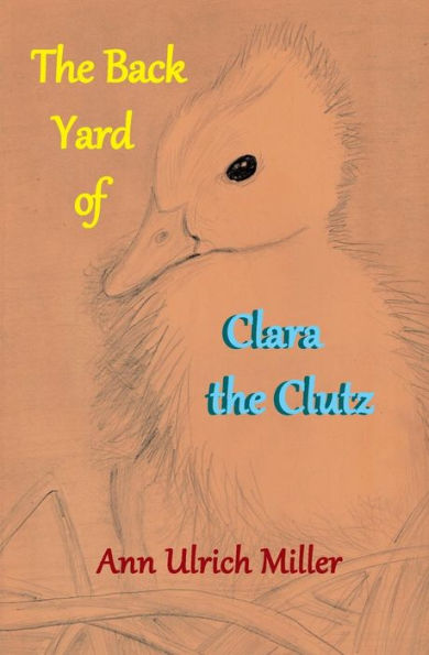The Back Yard Of Clara The Clutz