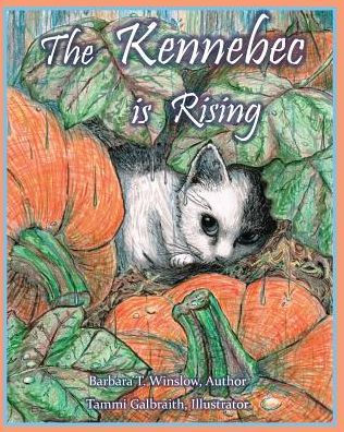 The Kennebec Is Risiing